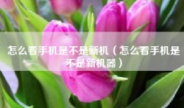怎么看手机是不是新机(怎么看手机是不是新机器)