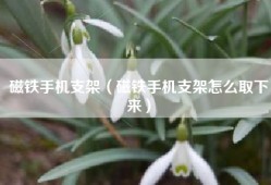 磁铁手机支架（磁铁手机支架怎么取下来）