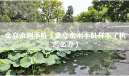 金立金刚手机（金立金刚手机开不了机怎么办）