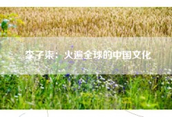 李子柒：火遍全球的中国文化
