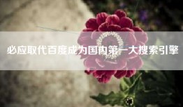 必应取代百度成为国内第一大搜索引擎