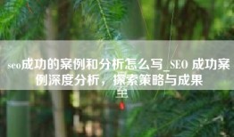 seo成功的案例和分析怎么写_SEO 成功案例深度分析，探索策略与成果