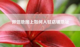 微信地图上如何入驻店铺地址