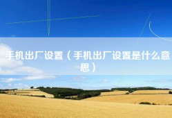 手机出厂设置（手机出厂设置是什么意思）