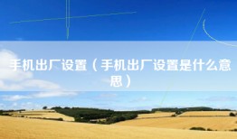 手机出厂设置（手机出厂设置是什么意思）