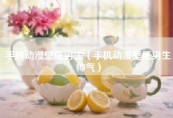 手机动漫壁纸男生（手机动漫壁纸男生帅气）