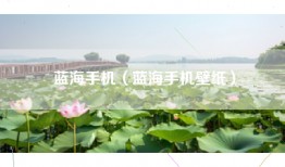 蓝海手机（蓝海手机壁纸）