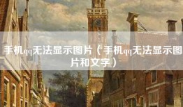 手机qq无法显示图片（手机qq无法显示图片和文字）