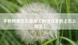 手机网速怎么显示（网速在手机上怎么显示）