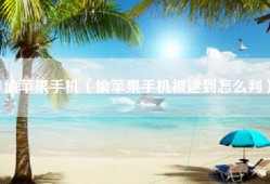 偷苹果手机（偷苹果手机被逮到怎么判）