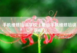 手机维修培训学校（唐山手机维修培训学校）