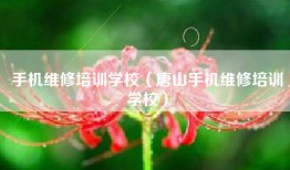手机维修培训学校（唐山手机维修培训学校）