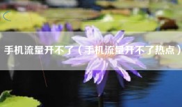 手机流量开不了（手机流量开不了热点）