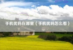 手机扰码在哪里（手机扰码怎么看）