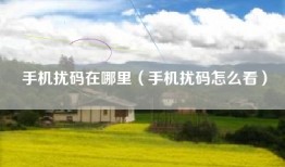 手机扰码在哪里（手机扰码怎么看）
