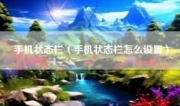 手机状态栏（手机状态栏怎么设置）