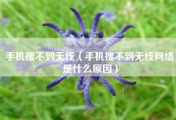 手机搜不到无线（手机搜不到无线网络是什么原因）