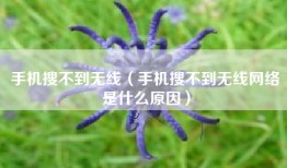 手机搜不到无线（手机搜不到无线网络是什么原因）
