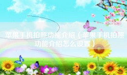 苹果手机拍照功能介绍（苹果手机拍照功能介绍怎么设置）