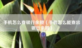 手机怎么查银行余额（手机怎么能查出银行余额）