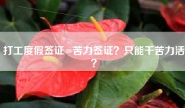 打工度假签证=苦力签证？只能干苦力活？