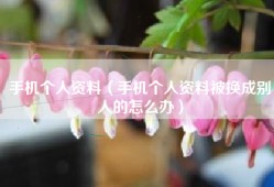 手机个人资料（手机个人资料被换成别人的怎么办）