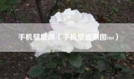 手机壁纸潮（手机壁纸潮图ins）
