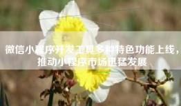 微信小程序开发工具多种特色功能上线，推动小程序市场迅猛发展