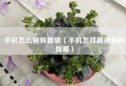 手机怎么视频截屏（手机怎样截视频的屏幕）