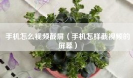 手机怎么视频截屏（手机怎样截视频的屏幕）