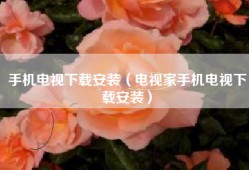 手机电视下载安装（电视家手机电视下载安装）