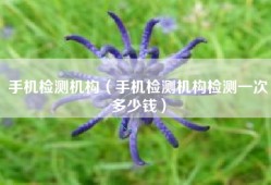 手机检测机构（手机检测机构检测一次多少钱）