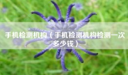 手机检测机构（手机检测机构检测一次多少钱）