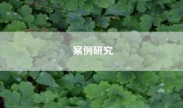 案例研究