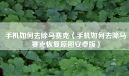 手机如何去除马赛克（手机如何去除马赛克恢复原图安卓版）