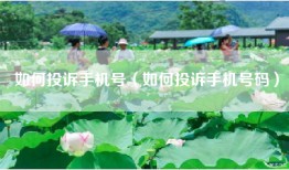 如何投诉手机号（如何投诉手机号码）