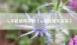4g手机值得买吗（4g手机该不该买）
