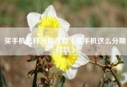 买手机怎样分期付款（买手机这么分期付款）