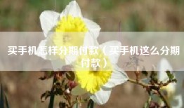 买手机怎样分期付款（买手机这么分期付款）