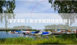 虫子手机（虫子手机的性能如何）