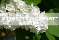 苹果手机用不了流量（苹果手机用不了流量怎么回事）