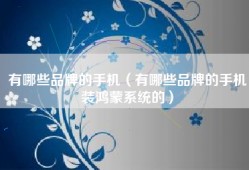 有哪些品牌的手机（有哪些品牌的手机装鸿蒙系统的）