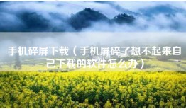 手机碎屏下载（手机屏碎了想不起来自己下载的软件怎么办）