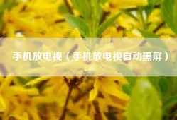 手机放电视（手机放电视自动黑屏）