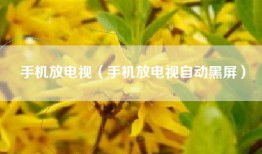 手机放电视（手机放电视自动黑屏）