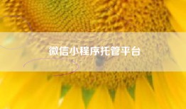 微信小程序托管平台
