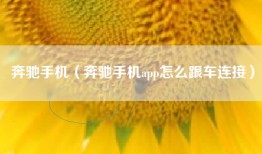 奔驰手机（奔驰手机app怎么跟车连接）