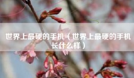 世界上最硬的手机（世界上最硬的手机长什么样）