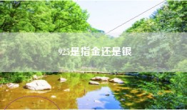 925是指金还是银