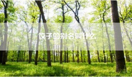 饺子的别名叫什么